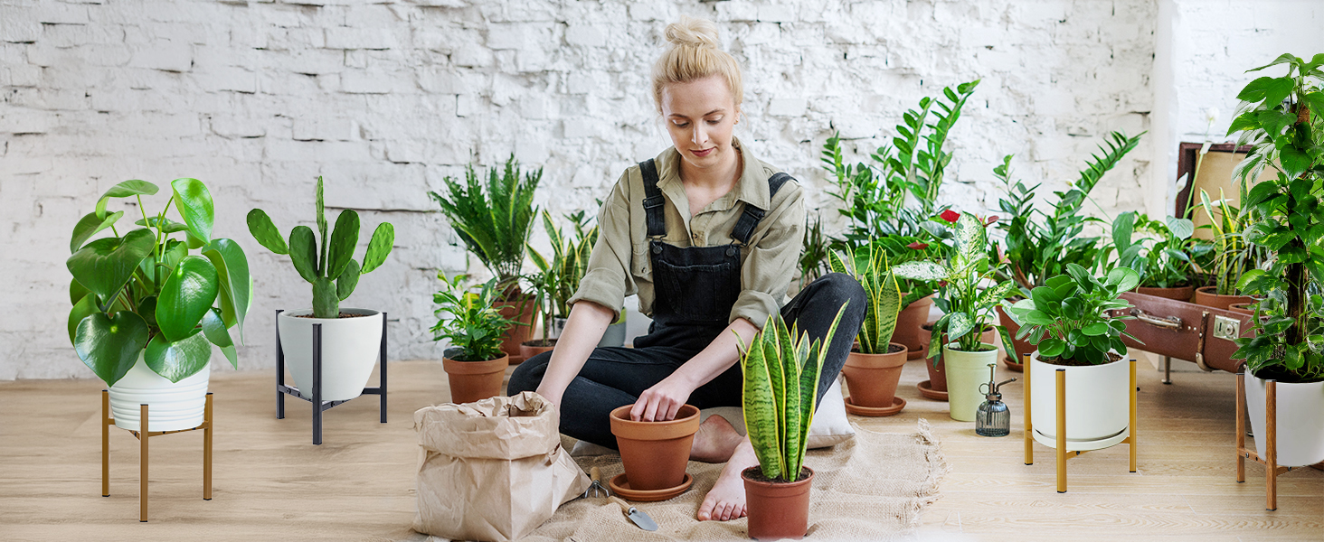 Plant Stand Corners