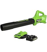 Greenworks 24V (90 MPH / 320 CFM / 125+ Compatible Tools) Cordless Axial Leaf Blower, 2.0Ah Batte...