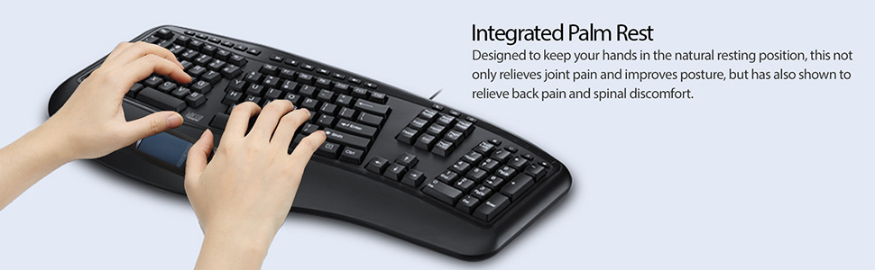 Integrated Palm Rest
