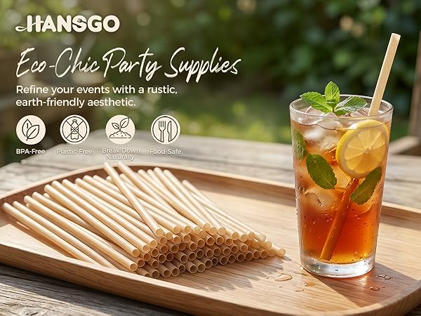 100PCS Sugarcane Straws