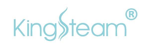 Kingsteam