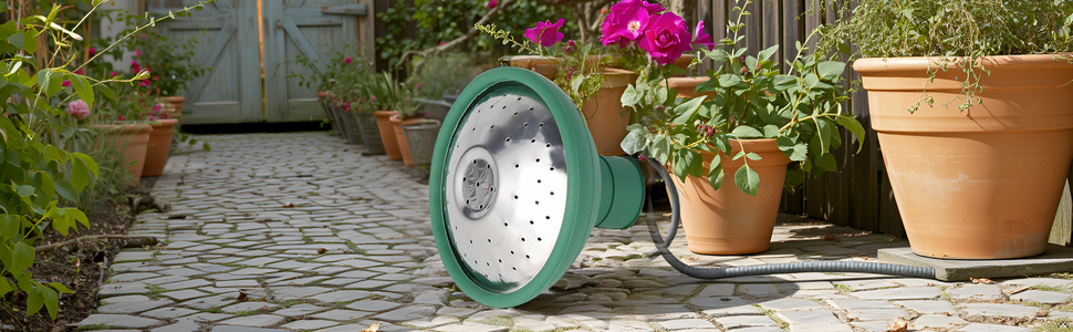 A lush, vibrant garden filled with blooming flowers and thriving plants, providing an ideal backdrop