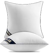 MIULEE 20x20 Pillow Inserts Set of 2 Throw Pillows 20 Inch Premium Down Alternative Pillow Insert...