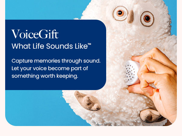Mini Recorder Device, Bring Plush Toys, Quilts & Crafts to Life