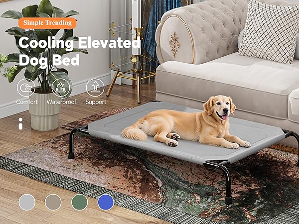 Raised Dog Bed