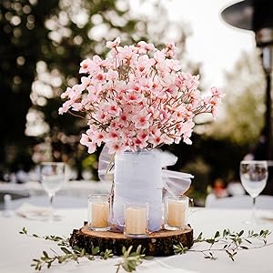 cherry blossoms