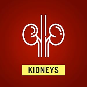 Kidneys