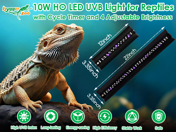 bearded dragon tank accessories