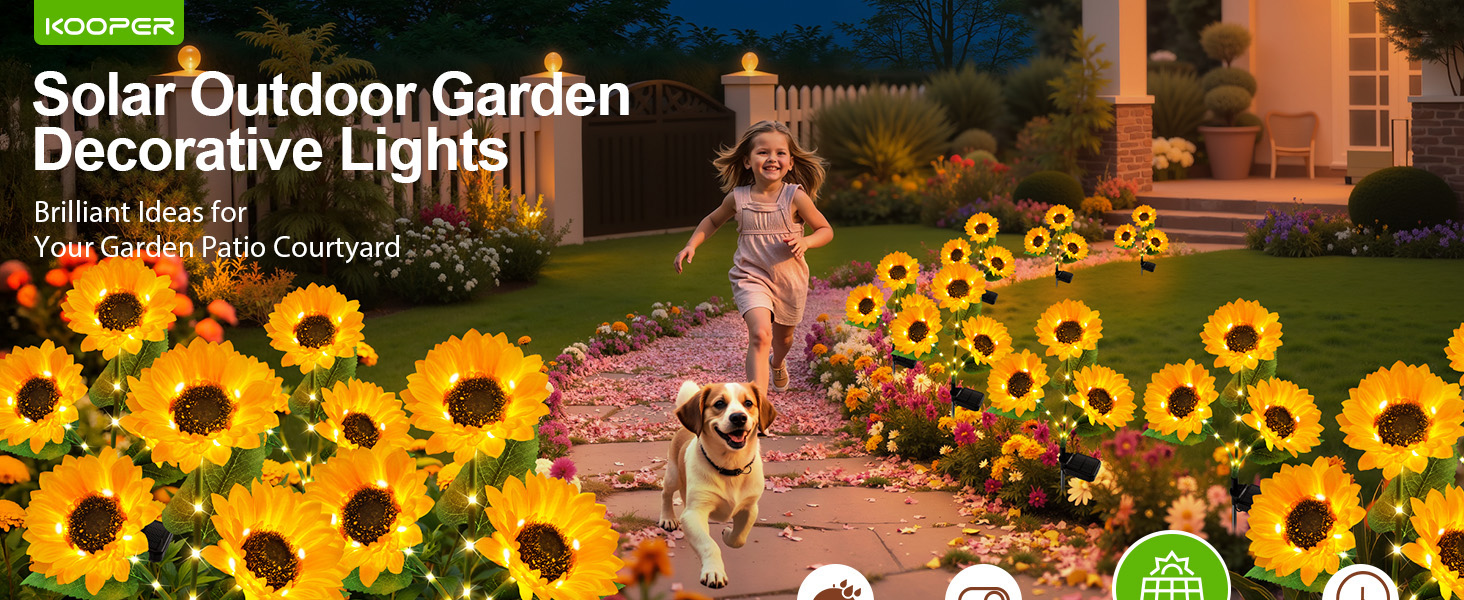Solar lights outdoor