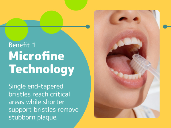 brushing teeth with single end tapered bristles removing plaque and build up reaching critical areas