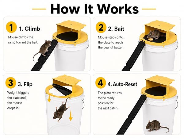 Bucket Mouse Trap Lid