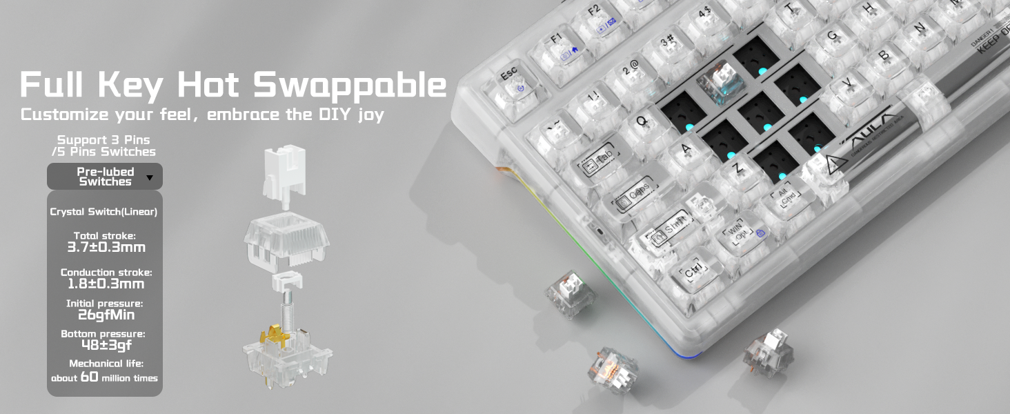 Hotswap Mechanical Wireless Keyboard