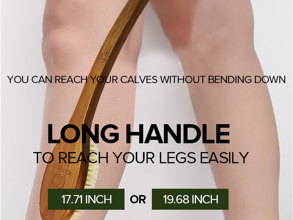 icandoit long hande shower brush