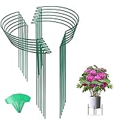 Joyhalo 12 Pack Plant Support Stakes for Indoor Plants 24 Inch, Peony Cages and Supports, Peony C...