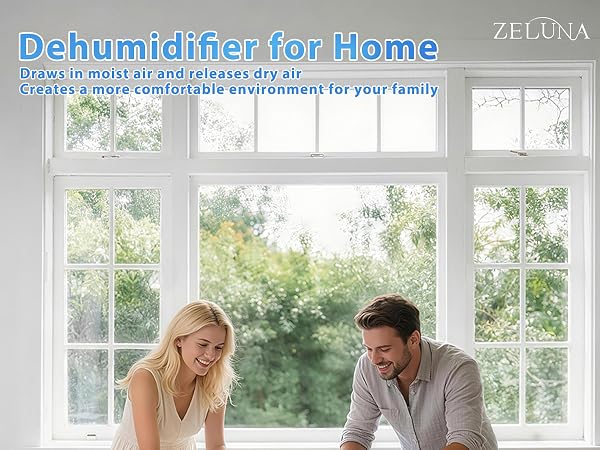 dehumidifier for home