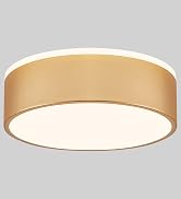 ceiling light
