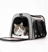 cat carrier