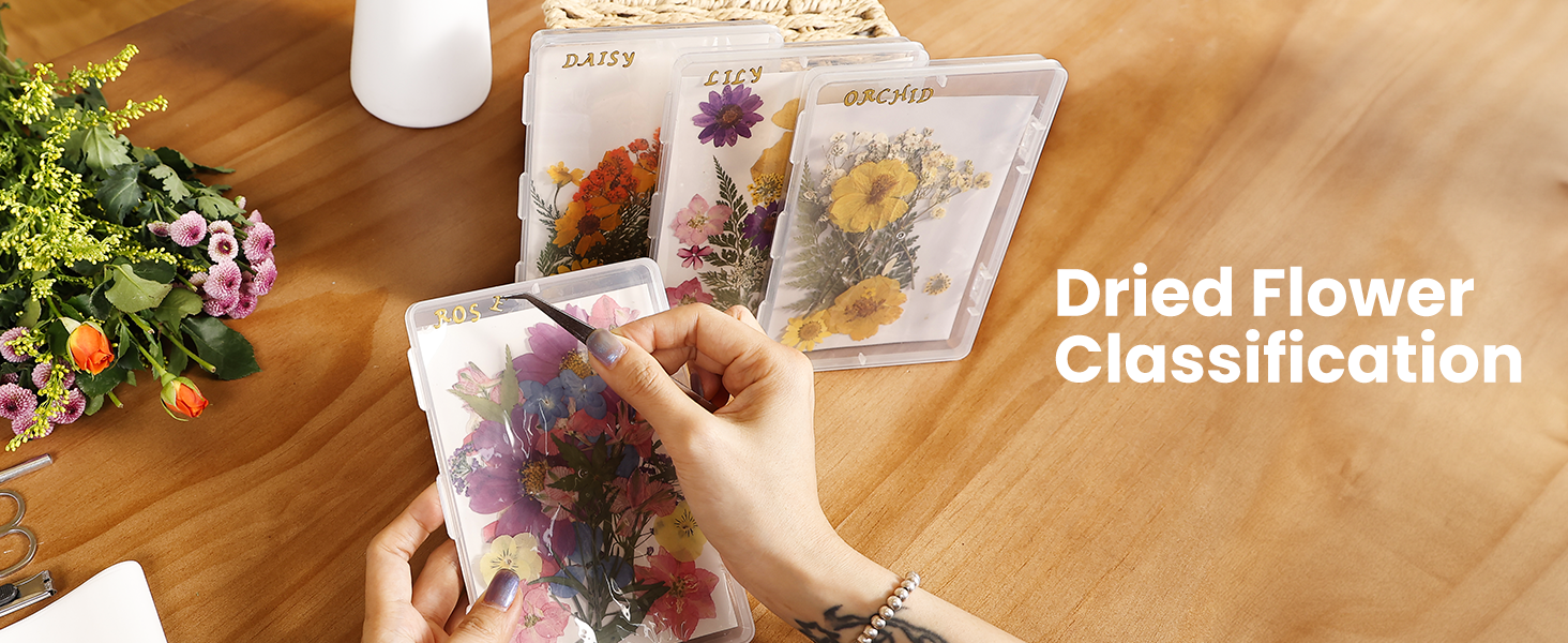 Dried Flower Storage box