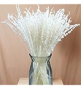 Iory White 180+Stems Dried Lavender Flowers Bundle-15''-17''Real Bleaching Cream White Lavender B...