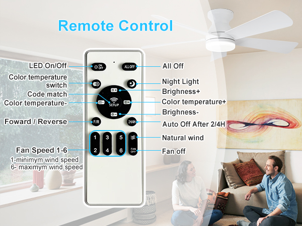 ceiling fan with light and remote