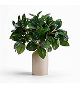 12 Inch Artificial Plant Indoor,Small Fake Plants Eucalyptus Stems With Vase,Faux Greenery In Pot...