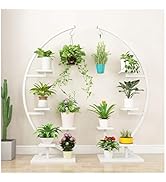 5 Tier Metal Plant Stand Indoor, Metal Plant Shelf Stand Decorative Half Moon Flower Shelves Pot ...