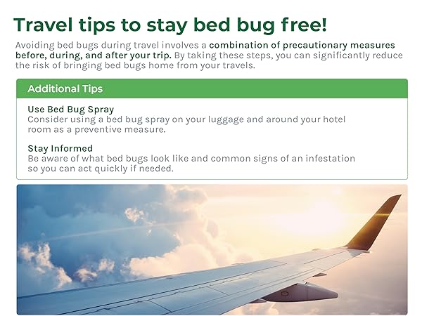 Travel Tips 3