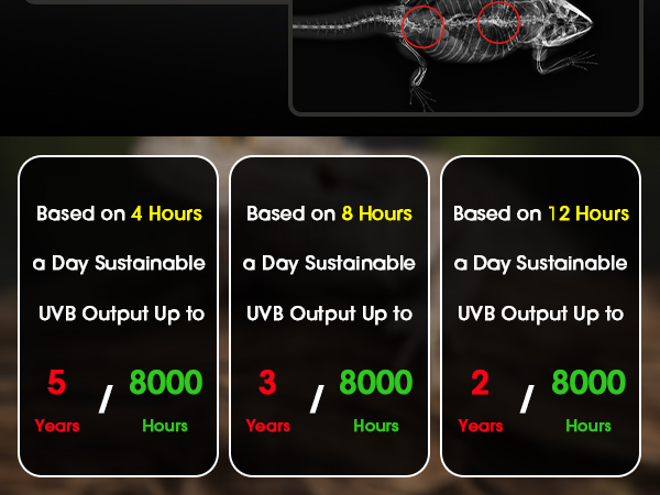 uvb light for reptiles