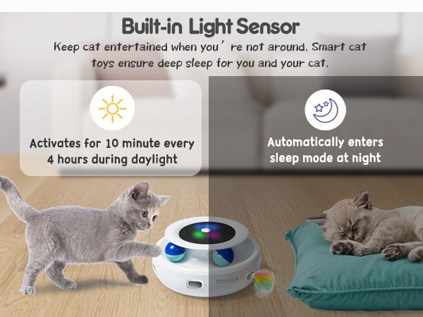 cat toy