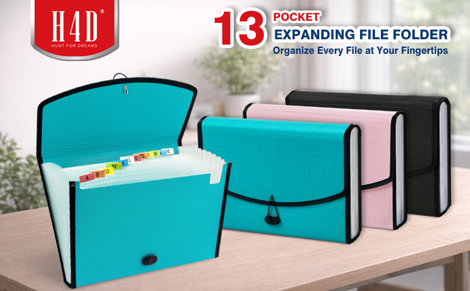 Accordion File Organizer