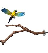 PINVNBY Parrot Perches Natural Birds Stand Wild Grape Stick Grinding Paw Climbing Wood Cage Acces...