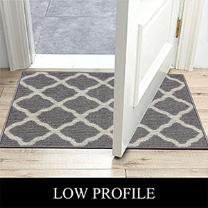 Outdoor Doormat Non Slip Entry Rug