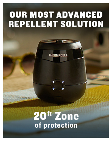 Most Advanced Solution