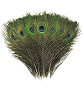 iHUFeather 50PCS Real Natural Peacock Eye Feathers 10-12 inch,for DIY Craft,Floral Arrangements,W...