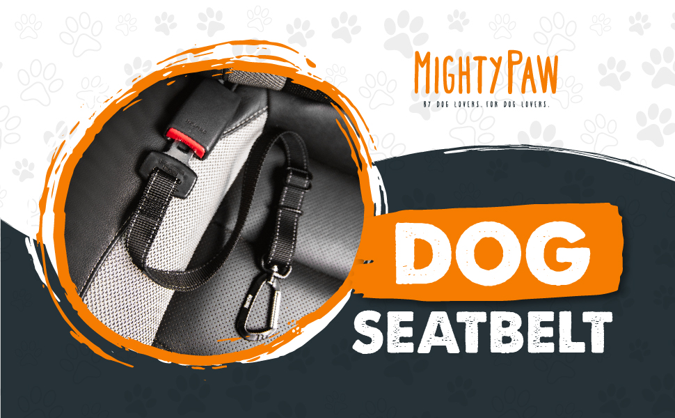 dog seat belt
