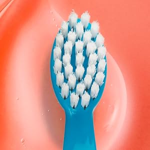 Brush Head