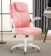 Executive Office Chair