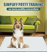 dog pee pads 22inch*22inch