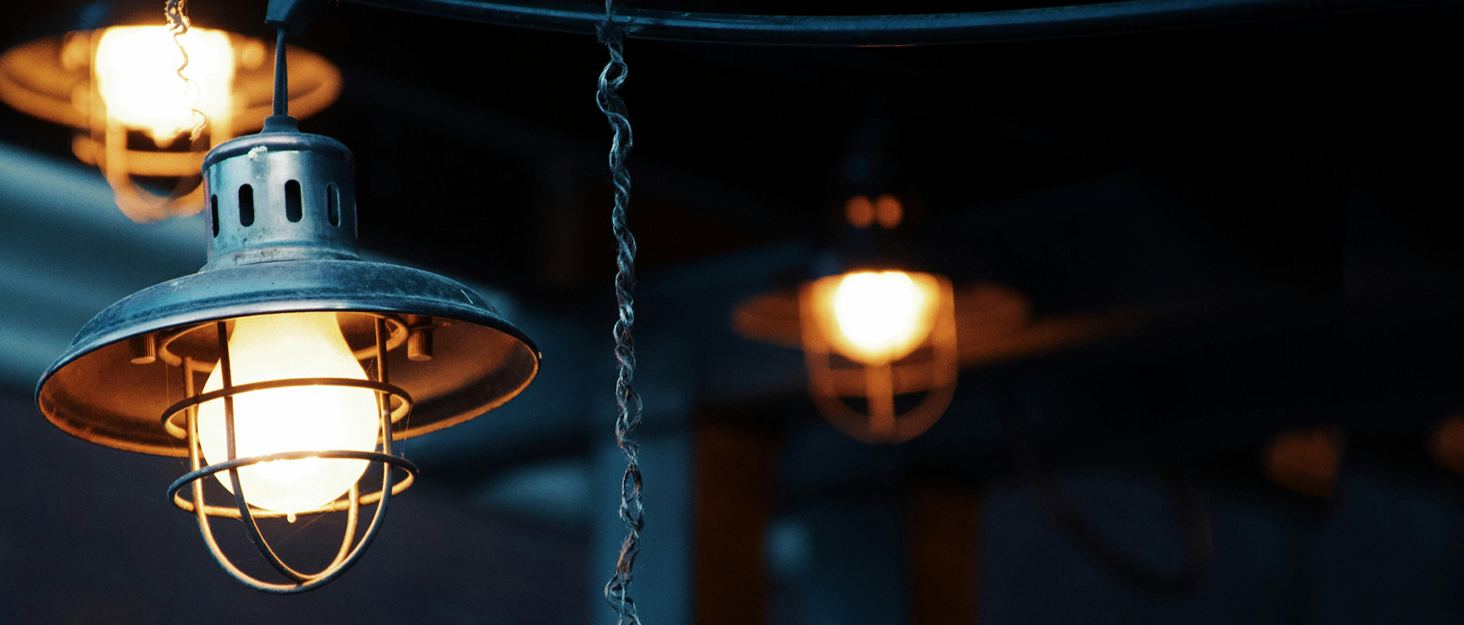 flsnt bulbs