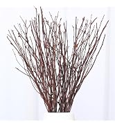 40Pcs Real Dried Birch Twigs - 17
