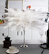 white ostrich feather