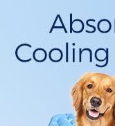Rywell Super-Absorbent Cooling Mat for Dogs 44"x32" Arc-Chill 3.0 & Color-Changing Dog Cooling Ma...