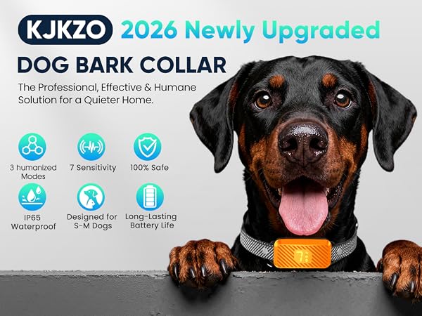 bark collar