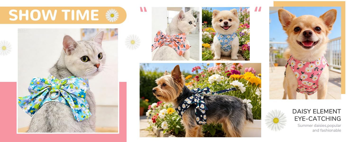 Dog Harness Vest Set