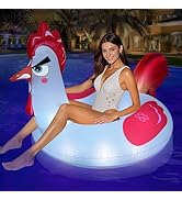 Chicken Pool Floats