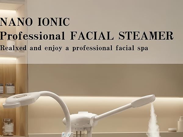 face steamer