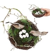 Hemoton 6" Bird's Nest with 5 Artificial Foam Eggs, Natural Swallow Rattan Birds Nests for Crafts...