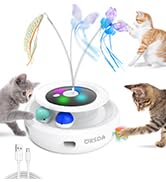 stimulating cat toys