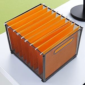 Hanging File Organizer File