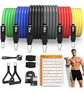 WHATAFIT Resistance Bands, Exercise Bands with Handles, Workout Bands for Working Out, Fitness Ba...
